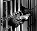 Jail Bible