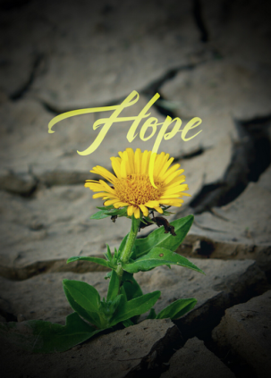 Hope 3